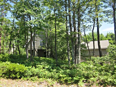 135 Birch Cliff Rd, Pocono Pines, PA 18350 - photo 2