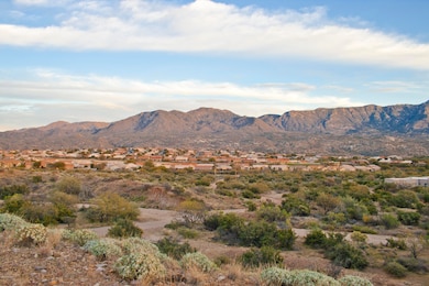 No Saddlebrooke HOA
