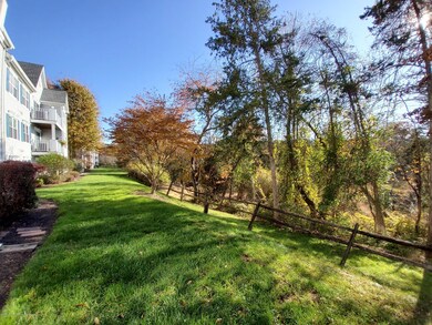 928 Magnolia Backyard