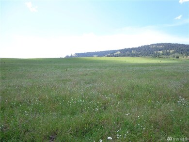 0 Honeysuckle Ln unit 1410772, Curlew, WA 99118 - photo 5