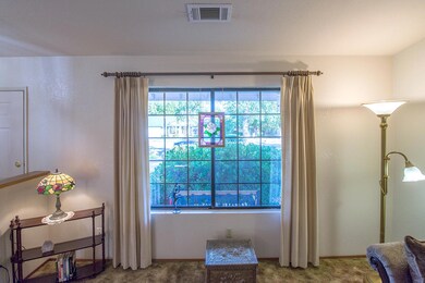 Livingroom window