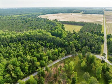Lot 1, 2 Scenic Route, Cordele, GA 31015 - photo 7