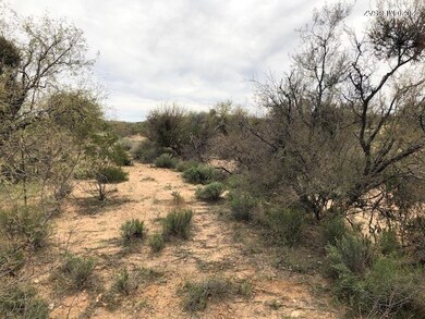 Lot View