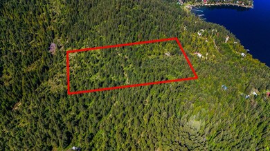 NNA E Deer Lake Way, Loon Lake, WA 99148 - photo 5