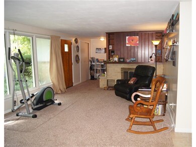 Newer carpet in the large family room.  Fireplace 