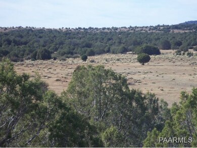 0 Ranch Rd unit 966506, Ash Fork, AZ 86320 - photo 5