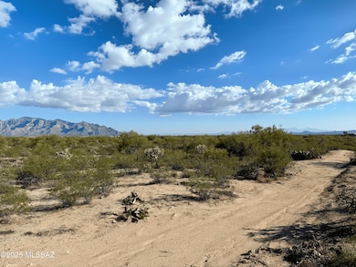 Photo Nov 05 2025, 3 20 06 PM-min