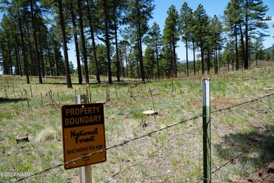 National Forest