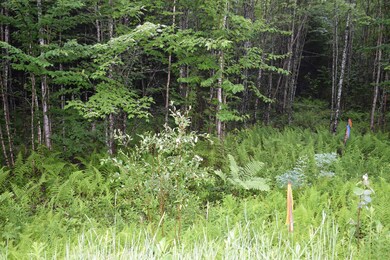 176 Mirror Lake Estates Dr, Whitefield, NH 03598 - photo 3