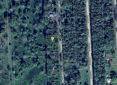 0 Wynne Rd, Trinity, TX 75862 - photo 6