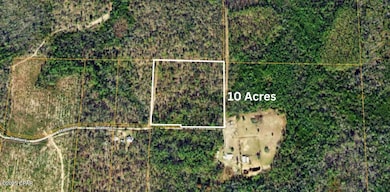 0 Stallion Ln, Marianna, FL 32448 - photo 2