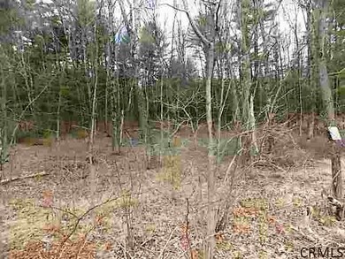 A1 Ruggles Rd, Gansevoort, NY 12831 - photo 3