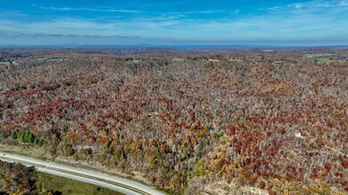 129 Woodchuck Run, Bragg, WV 25918 - photo 5