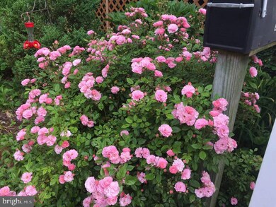 712 Murdock Rd, Baltimore, MD 21212 - photo 4