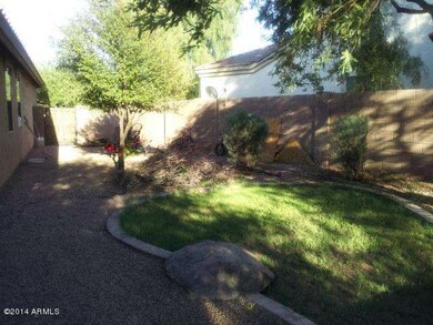 part of the backyard