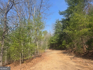 8 & 9 Up the Ridge Rd, Blairsville, GA 30512 - photo 2