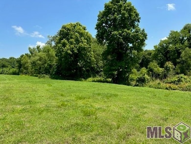 1053 Poydras Bayou Rd, Port Allen, LA 70767 - photo 3