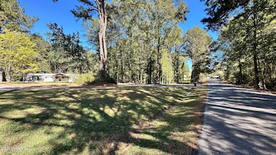 203 Goodman Rd, Pelahatchie, MS 39145 - photo 4