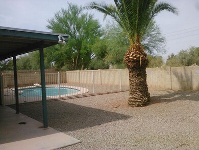 IMG261-fenced back yard