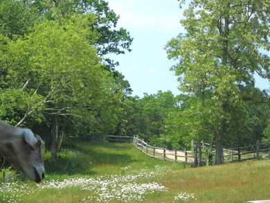 57 Christmas Hill Ln, Vineyard Haven, MA 02568 - photo 4
