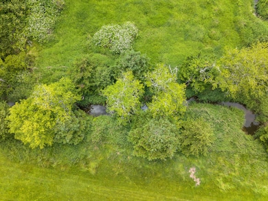 Bill Creek Ranch (4)