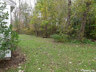 Backyard. The backyard does extend into the woods.