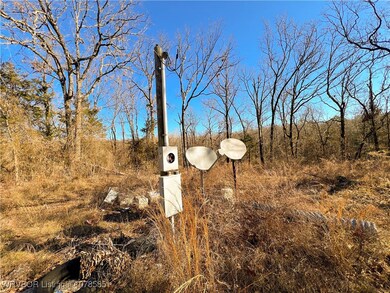 10330 High Rock Rd, Rudy, AR 72952 - photo 5