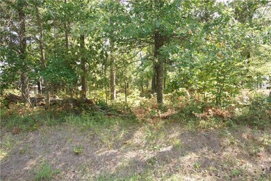 A mixed species of Northwoods trees are here. They include various Maple, cedar, and fir.