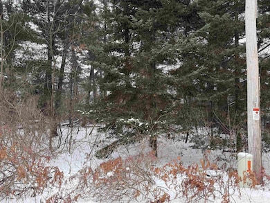 2007 Bloedel Ave, Weston, WI 54476 - photo 4