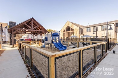 3110 Doe River Way unit Chadwick, Matthews, NC 28105 - photo 3