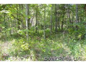 0 Roaring Fork Rd unit 6 NCM490741, Burnsville, NC 28714 - photo 3