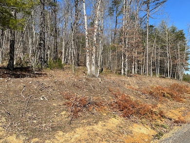 TBD New River Oaks Dt, Austinville, VA 24312 - photo 7