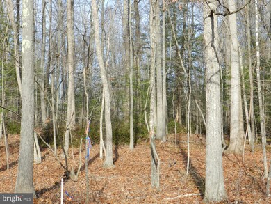 A Hart Ct, Culpeper, VA 22701 - photo 2