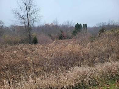 10140 Fairway Dr, Lake Leann, MI 49249 - photo 2