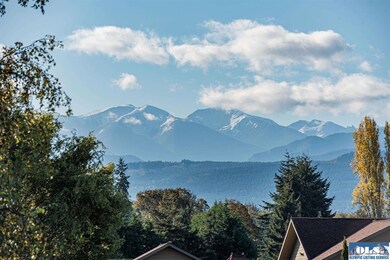 212 Letha Ln, Sequim, WA 98382 - photo 4