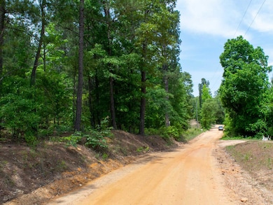 0 Lampp Rd, Gibson, GA 30810 - photo 7