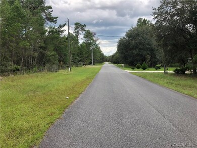 000 SW 165th St Rd, Ocala, FL 34473 - photo 3