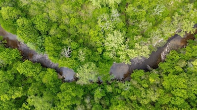 7449 Crow Cut Rd, Fairview, TN 37062 - photo 3