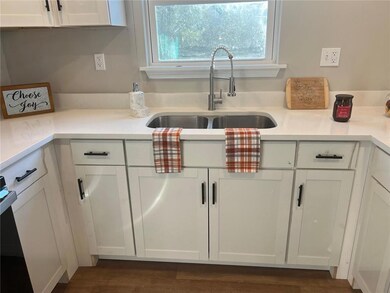 Kitchen with sink, dark hardwood / wood-style floors, and white cabinets