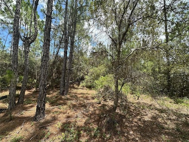 796 Fisher Rd, Ocklawaha, FL 32179 - photo 3