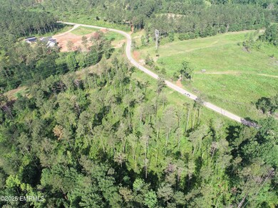 DJI_0156