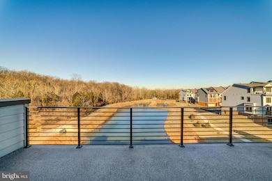 1807 Yellow Garnet Terrace SE, Leesburg, VA 20175 - photo 6