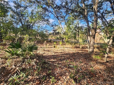 2176 W Conway Dr, Citrus Springs, FL 34434 - photo 5