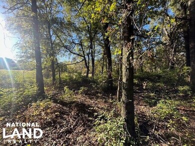 00000 E Hwy 400 unit Weir KS 66781, Weir, KS 66781 - photo 3