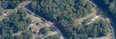 8619 N Dove Orchid Dr, Citrus Springs, FL 34434 - photo 5