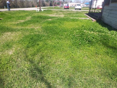 539 Tanner, Brazoria, TX 77422 - photo 3