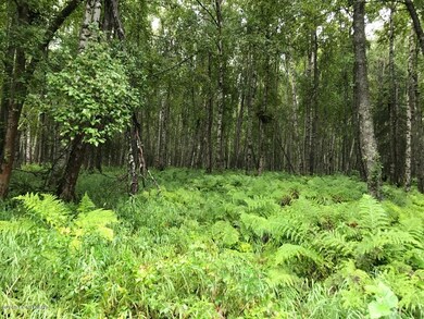 Cleared Area