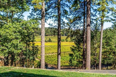 1155 Las Posadas Rd, Angwin, CA 94508 - photo 6