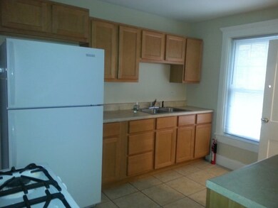 248 N 4th St, Aurora, IL 60505 - photo 2