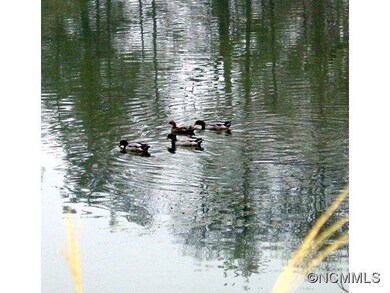 405 Hillcrest Cir unit 3, Hendersonville, NC 28792 - photo 5
